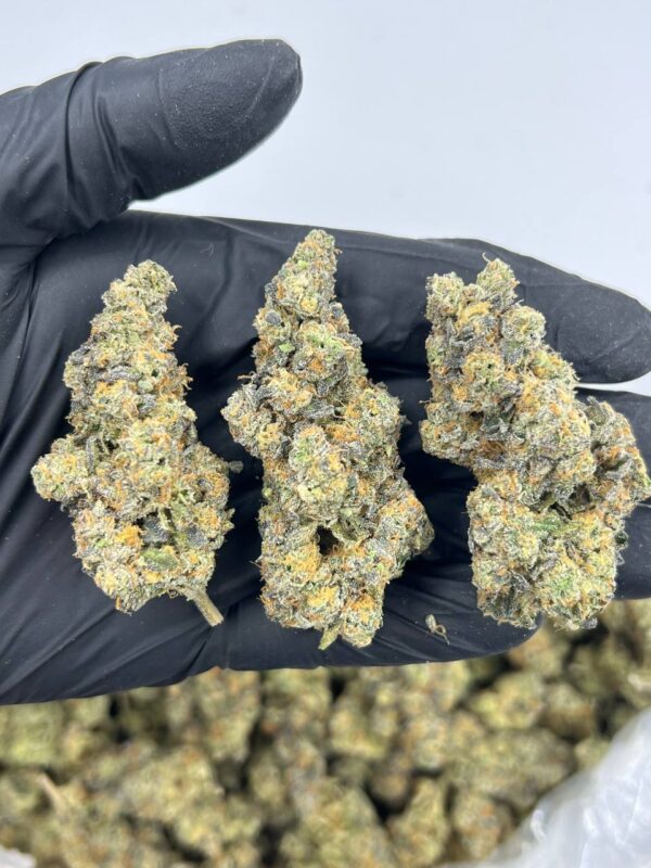 Candy Gas Gelato for sale